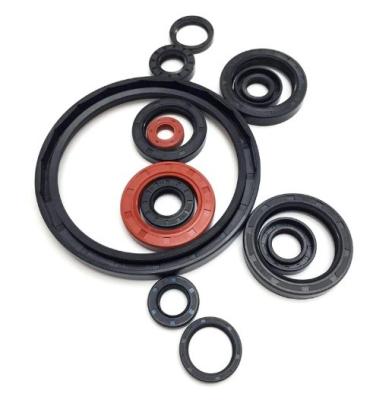 China Bearing Rubber Seal Nitrile Rubber Cover Double Lip Spring Bearing Shaft TC Oil Seals for sale