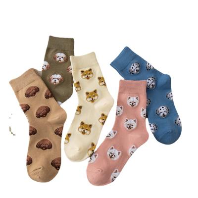 China QUICK-DRY Creative Trend Institute Of Statistics Cartoon Animals Dogs Tube Ladies Autumn And Winter Cute Cotton Medium Socks for sale