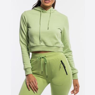 China Anti-pilling Hot Sale Women Crop Top Plain Hoodie Sports Soft Fleece Long Sleeve Cotton Pullover Cropped Hoodies for sale