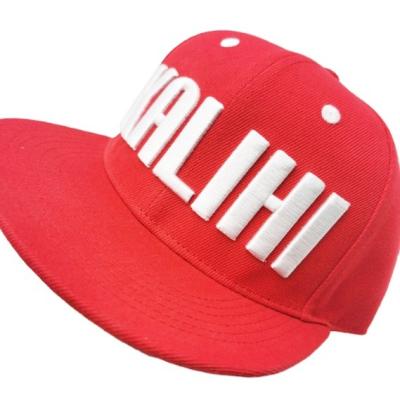 China Custom Embroidery JOINT Logo 6 Panel Snapback Hat Cap for sale