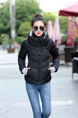 China Anti-wrinkle women shorts womens parkas thicken hooded outerwear coats solid zipper female thin cotton padded basic tops for sale