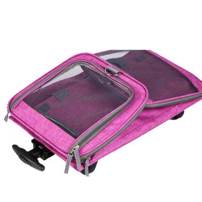 China Viable Transparent Breathable Design Dog Cat Travel Bag for sale