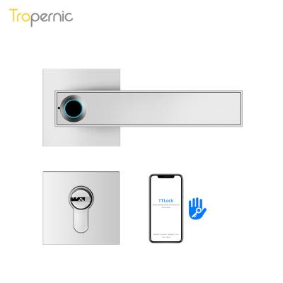 China New Zinc Alloy Electric Easy Install WiFi Security Door Lock App Code Electronic Fingerprint Door Lock for sale