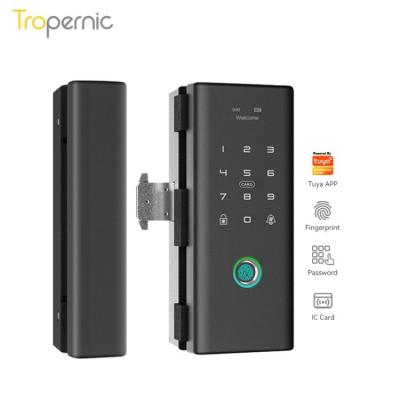 China Tuya Zinc Alloy Zinc Alloy Electronic App Frame Access Control Wifi Furniture Cerradura Panel Fingerprint Biometric Smart Glass Door Lock for sale