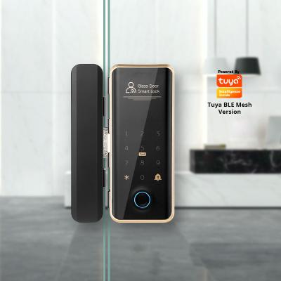 China Aluminum+ABS OEM/ODM Security Doorbell Tuya BLE APP Fingerprint Frameless Sliding Glass Smart Door Lock For Office for sale