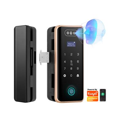 China Face Recognition Home Biometric Glass Fingerprint Digital Wifi Tuya Security Tropernic Office Apartments Hotel Smart Door Lock For Home for sale