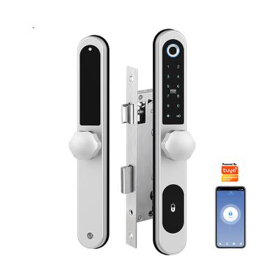 China Aluminum Alloy Exterior Locks Home Security Door Password Lock Timing Wifi Mobile Phone Tuya Auto Smart Fingerprint Door Lock for sale