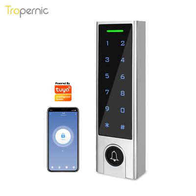 China 1000 Cerradura Inteligente Ip66 Door Waterproof Radio Users Electronic Card Code Tuya Rfid Biometric Magnetic Lock Access Control for sale