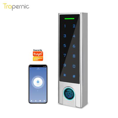 China 1000 Users Yrhand Cell Phone Cerradura Inteligente Wifi Tuya Rfid Card Fingerprint Reader Magnetic Access Control Electric Keypad for sale