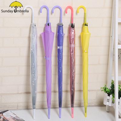 China All in 1 clear bubble poe umbrella eco-friendly SUNDAY professional, transparent umbrella for sale