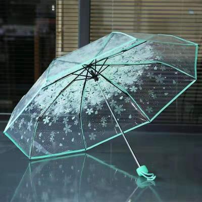 China SUNDAY Ladies 3 Folding Umbrella Parasol Transparent Umbrella for sale