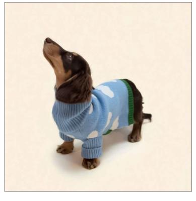 China Custom 2021 New Product Designer Dog Clothes Winter Removable Dog Blanket Turtle Neck Clothes Dog Pet Clothes for sale