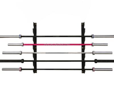 China Wall Mounted Barbell Storage Functional Training Weightlifting Barbell Rack for sale