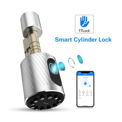 China Euro Family BLE Electronic Keyless Entry Intelligent Cylinder Lock for sale