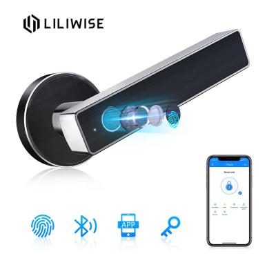 China Levers Privacy Hand Door WiFi BLE APP Fingerprint Key Handle Zinc Alloy Door Lock for sale