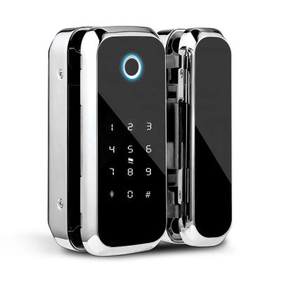 China Wifi Remote Control APP Desktop Digital Fingerprint Ttlock Smart Glass Biometric Door Lock For Office for sale