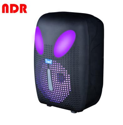 China NDR Wireless Portable Speaker 6.5 Inch OEM Factory Outdoor Karaoke Blue-tooth Party Portable Speaker for sale