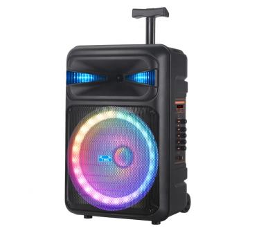 China Hot Selling LED Flashing Light NDR Portable DJ Wireless Karaoke 12 Inch Trolley Speaker With Karaoke Function for sale