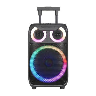 China LED Flashing Light 15 Inch Karaoke PA Trolley Speaker Blue-tooth Party Speakers ndr-C15 Rechargeable Sound Box for sale