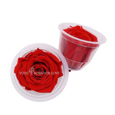 China Wholesale Beautiful Eternal Flowers Colorful Preserved Real Roses For Home Decoration Wedding Decoration for sale