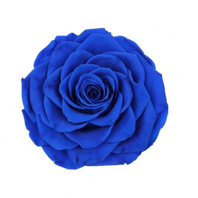 China Beautiful Colorful Amazon Hot Sale Gifts for Girls Home Accessories Artificial Rose Head Decorative Flowers and Garlands for sale