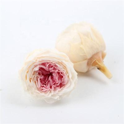 China Beautiful Colorful Hot Selling Dry Rose Eternal Rose Decorative Wall Decorative Garlands and Flowers for sale