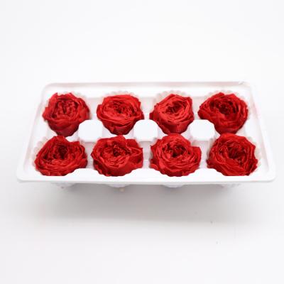 China Beautiful Colorful Preserved Austin Flower Rose Key Valentines Wedding Ladies Gift for sale