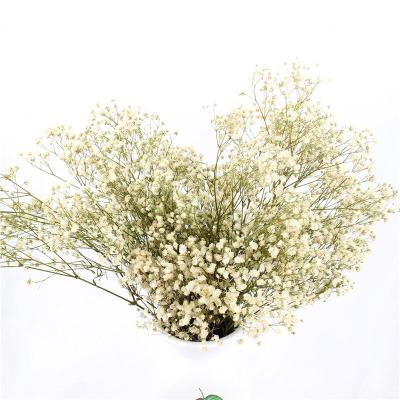 China Beautiful Colorful Ins Wedding Decorations Artificial Flower for sale