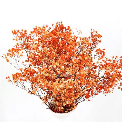 China Beau ncs valentine gift colorful babysbreath artificial flower for home decor for sale