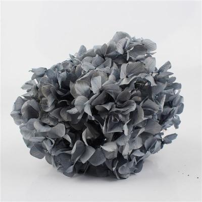 China Beautiful Preserved Wholesale Colorful 3d Artificial Hydrangea Hydrangea Wedding Wedding Centerpieces Decorative Flowers and Garlands for sale