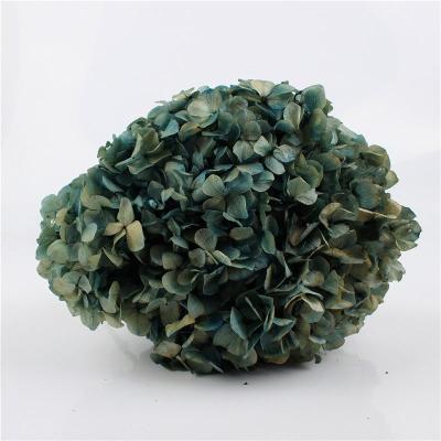 China Wholesale Colorful Beautiful Preserved Hydrangea Dried Hydrangea Artificial Silk Hydrangea Flowers for sale