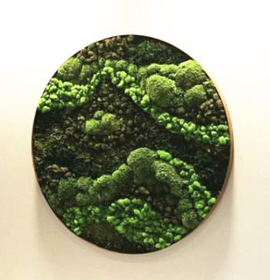 China Beautiful 2020 New 500g Colorful Warm Wedding Decorative Reindeer Moss Wall Stabilized Preserved Moss Board for sale