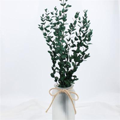 China Wholesale Colorful Beautiful Eucalyptus Leaves Artificial Eucalyptus Preserved Flowers and Greenery Decorative Garlands for sale