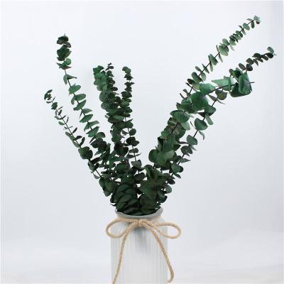 China Beautiful Colorful High Quality Decorative Flowers Preserved Plants Artificial Flower For Home Decor for sale