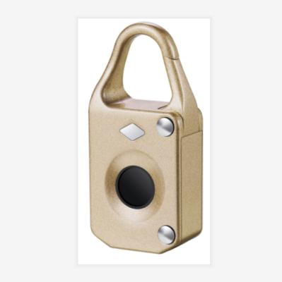 China High Quality ZT10 Smart Fingerprint ZT10 Padlock for sale