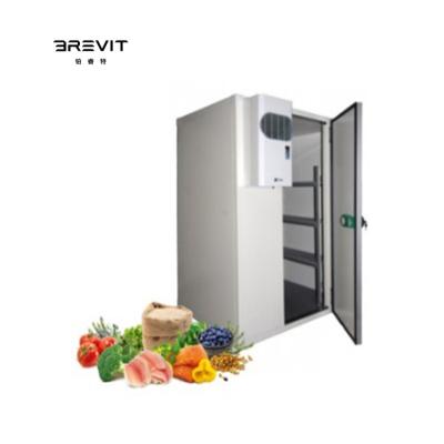 China Double-temperature BREVIT Solar Cold Room Freezer Walk Cold Storage Cool Storage Manufacturer Cool Room Refrigeration for sale