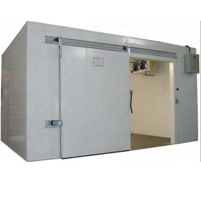 China Single-temperature fruit vegetables melons and meat cold storage room freezer storage customized size for sale