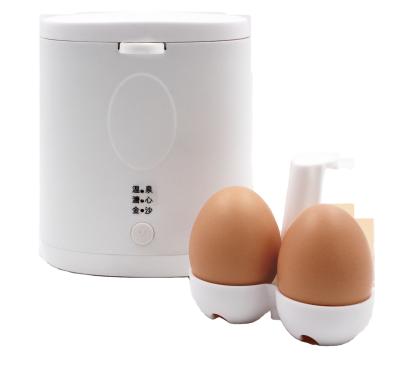 China Newest Design Household Electric Egg Cooker Multifunctional Portable Egg Cooking Machine High Power Plastic Egg Boiler for sale