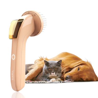 China Hot Selling Professional Pet Hair Trimmer Pet Grooming Cleaning Kit, Cordless Dog Shaver Pet Clipper for sale