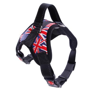 China Lights New Hot Sale Pet Products Dog Leash Dog Harness Pet Leash for sale