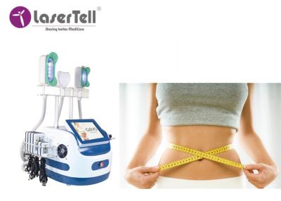 Κίνα Αδυνάτισμα αισθητικής μηχανών Cryolipolysis Coolsculpting 360 βαθμού προς πώληση