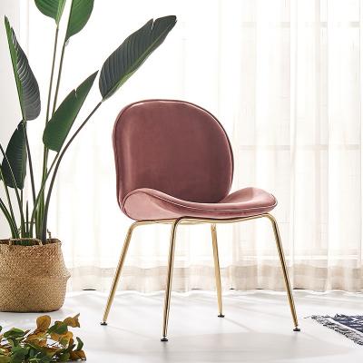 China Manufacturers Selling Modern Modern Home Furniture Velvet Colorful Metal Frame Dining Chairs for sale