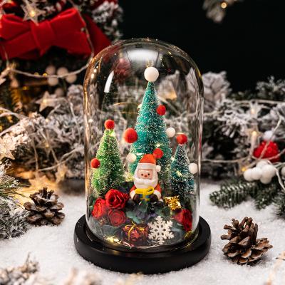 China Preserved Newcomer Eco-friendly Creative Christmas Gift Rose In Glass Dome With LED Light Christmas Decoration Supplies for sale