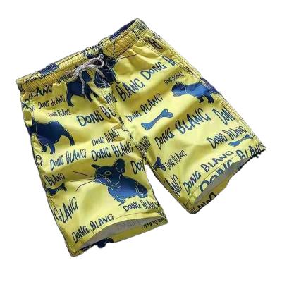 China New Design Anti-Wrinkle Mens Summer Casual Shorts Bigger Pocket Short Pants for sale