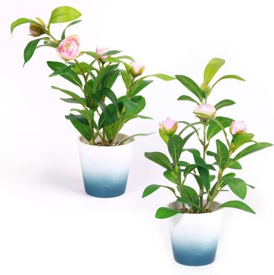 China Small Potted Plant Eco-friendly Camellia Silk Flower Mini Artificial Fake Camellia Rose Flower Eco-friendly Plant With Plastic Pot for sale