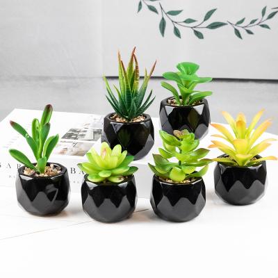 China Small Home Office Mini Succulent Decoration Green Plants Hot Style Minimalist Artificial Fake Plant With Ceramic Pot for sale