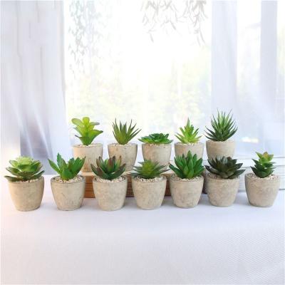 China Hot Sale Minimalist Mini Bonsai Plants High Quality PVC Pulp Artificial Potted Succulent For Home Decor for sale