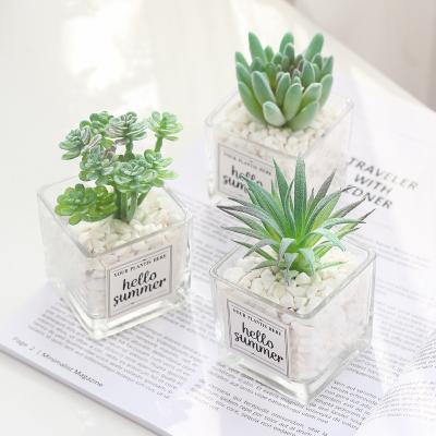 China Eco-friendly Mini Artificial Potted Plant Home Office Decor Modern Minimalist Succulent Top Selling Indoor Plant Home Decor for sale