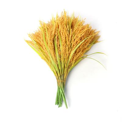 China Idyllic dry flower living room decoration rice home decoration bouquet fake landscaping simulation wheat golden ear for sale