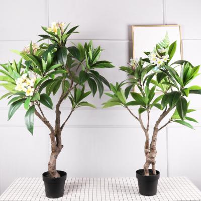 China Simulation Minimalist Artificial Frangipani Potted Plants For Decoration Garden Indoor Outdoor Decoration Simulated Artificial Potted Tree for sale